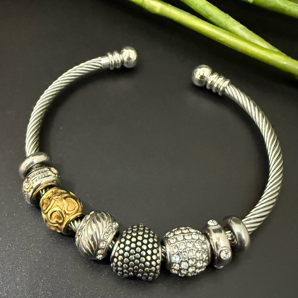 EMMA SKYE Jewelry HSN Designs Stainless Steel 6-Charm Bracelet 38g.
